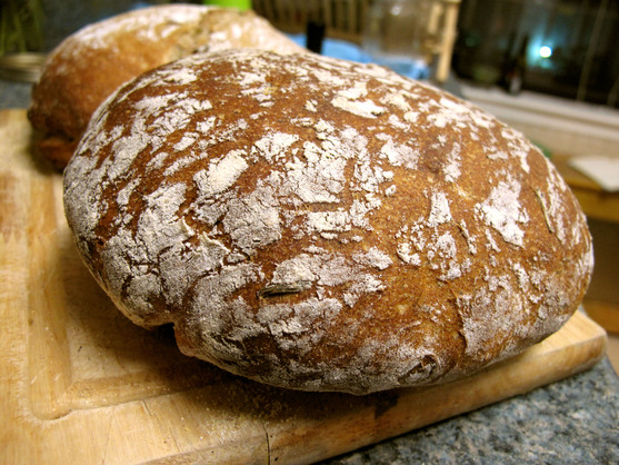 hot crusty loaf Italian or French bread